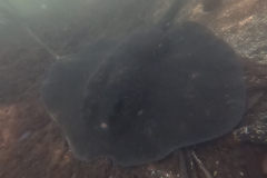 DCIM100GOPROGOPR9730.JPG