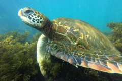 DCIM100GOPROGOPR9775.JPG