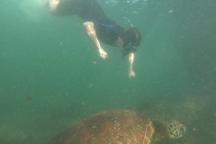 DCIM100GOPROGOPR9824.JPG