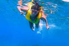d03044c7-750d-4f22-bb85-d40223a273c7
