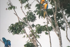 IMG_0700