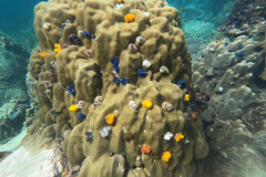 DCIM100GOPROGOPR3188.JPG