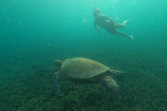 DCIM100GOPROGOPR3278.JPG